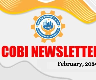 Cobi Newsletter