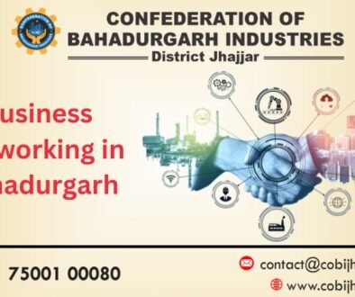 Business Networking in Bahadurgarh